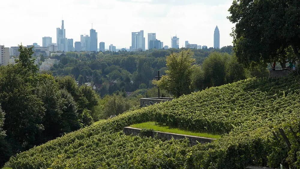 Paarfotos auf dem Lohrberg mit Blick über Frankfurt