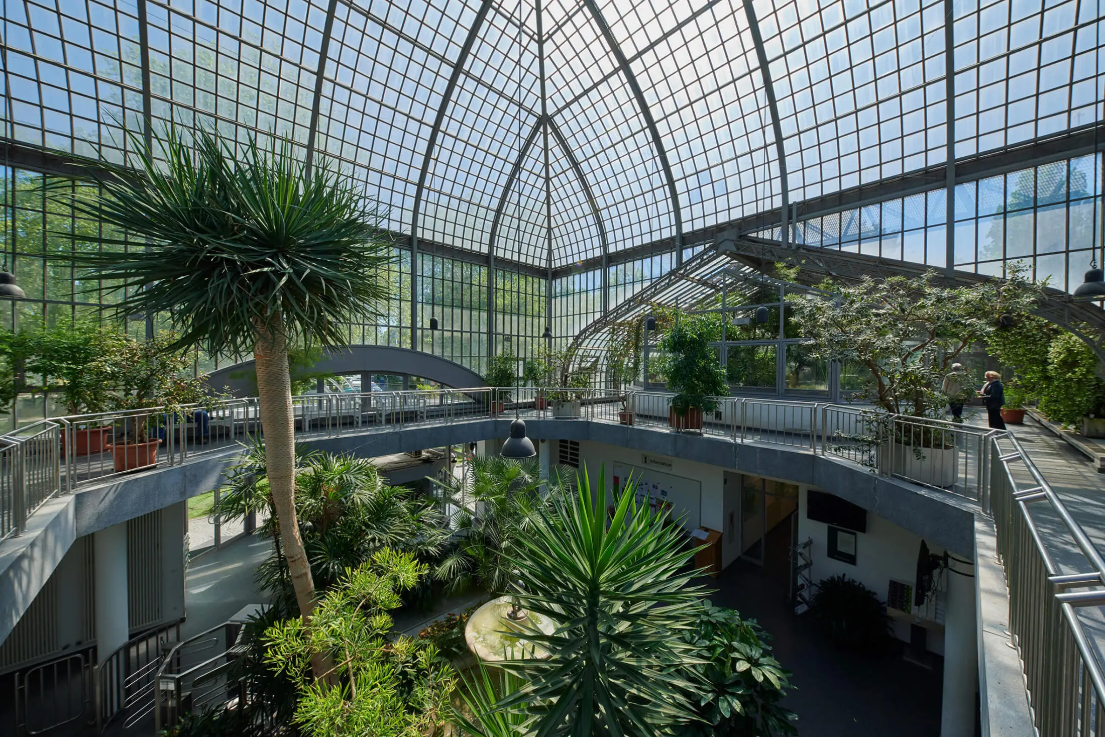 Hochzeitsfotos im Palmengarten Frankfurt