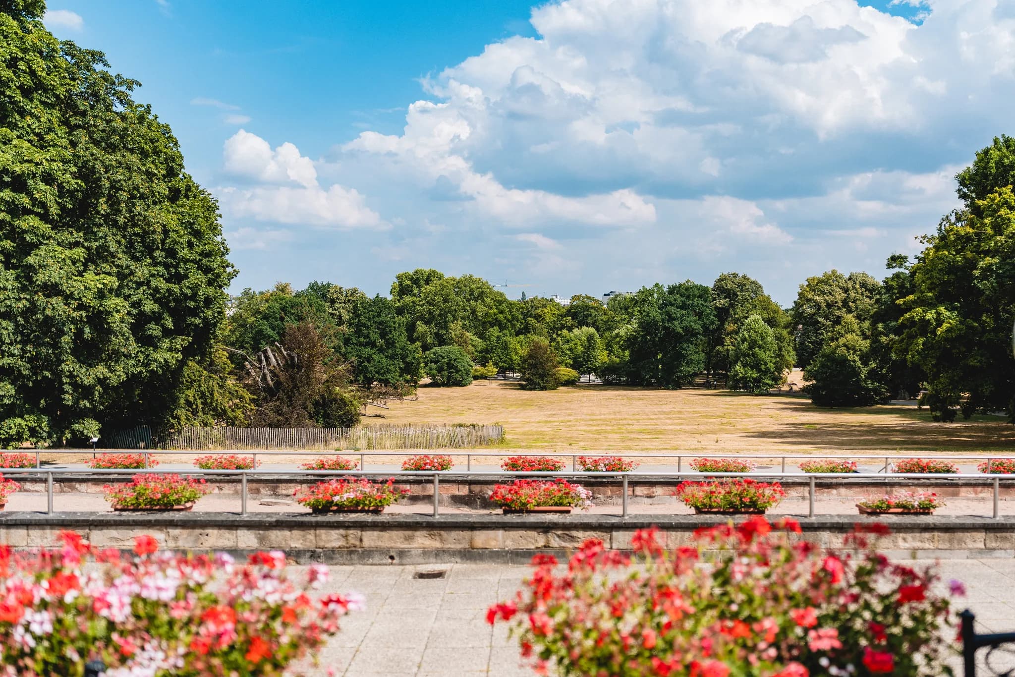 Weite Aussicht über den sommerlichen Kurpark am Dolce by Wyndham Bad Nauheim mit vielen roten Geranien im Vordergrund.
