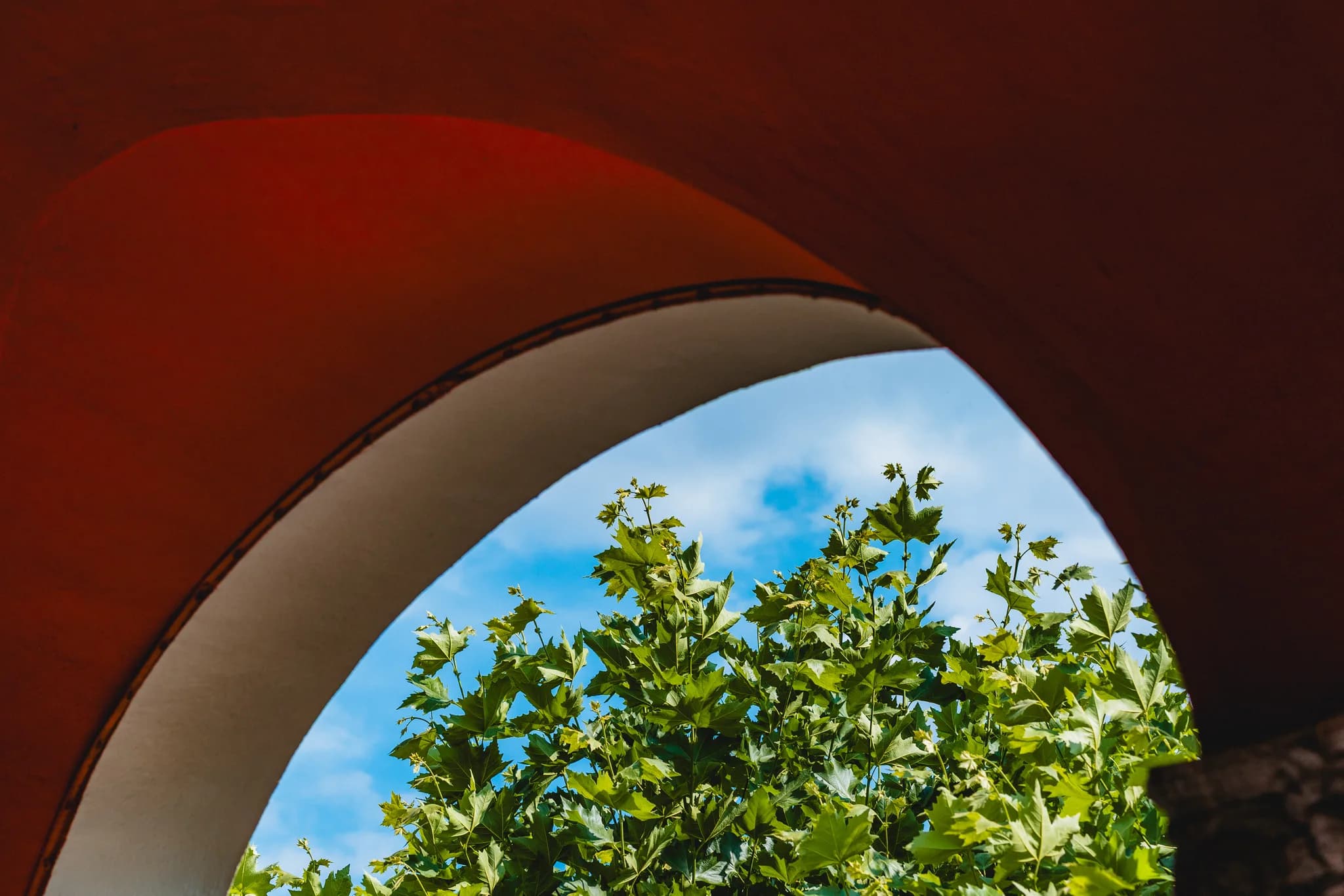 Blick durch einen roten Torbogen auf grüne Baumkronen unter einem blauen Himmel im Dolce by Wyndham Bad Nauheim.