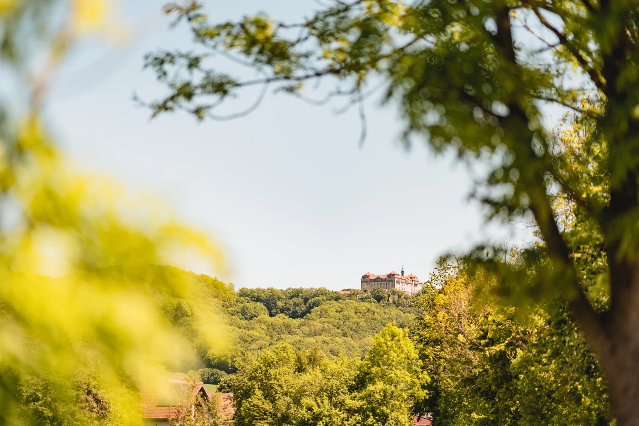 Weitwinkelansicht auf das Schloss in Hofbieber, umrahmt von sonnendurchfluteten Blättern einer sommerlichen Landschaft.