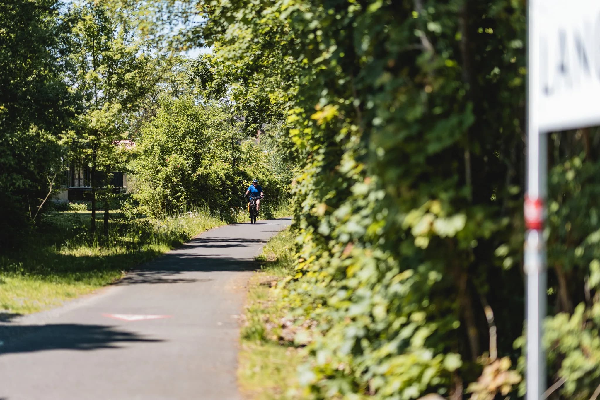Ein Radfahrer fährt an einem sonnigen Tag auf einem asphaltierten Weg durch eine grüne Heckenlandschaft in Hofbieber.
