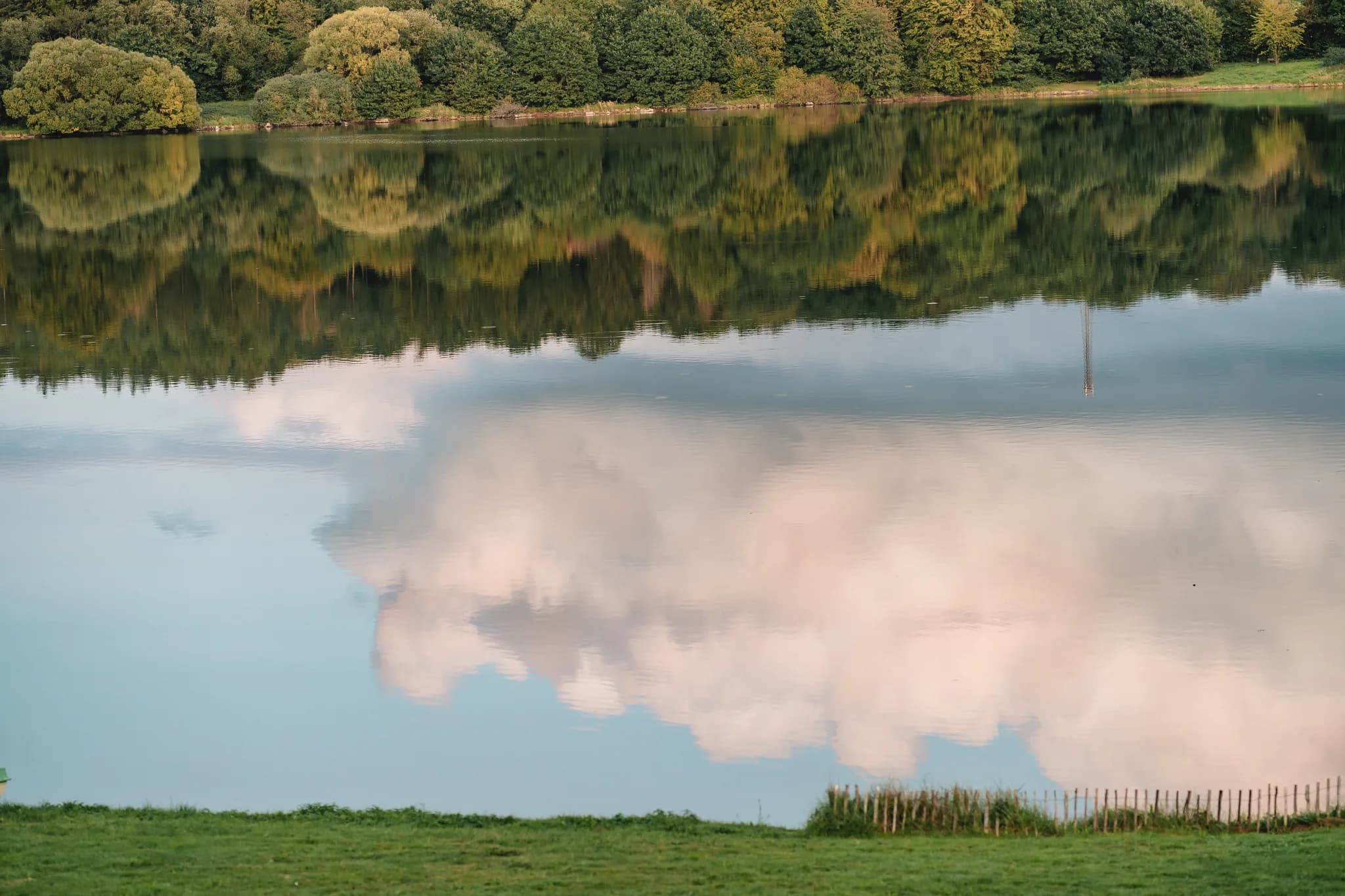 Spiegelung von Wald und Wolken in der ruhigen Wasserfläche des Lakeside Resort Michaela bei Peggys und Daniels Hochzeit.