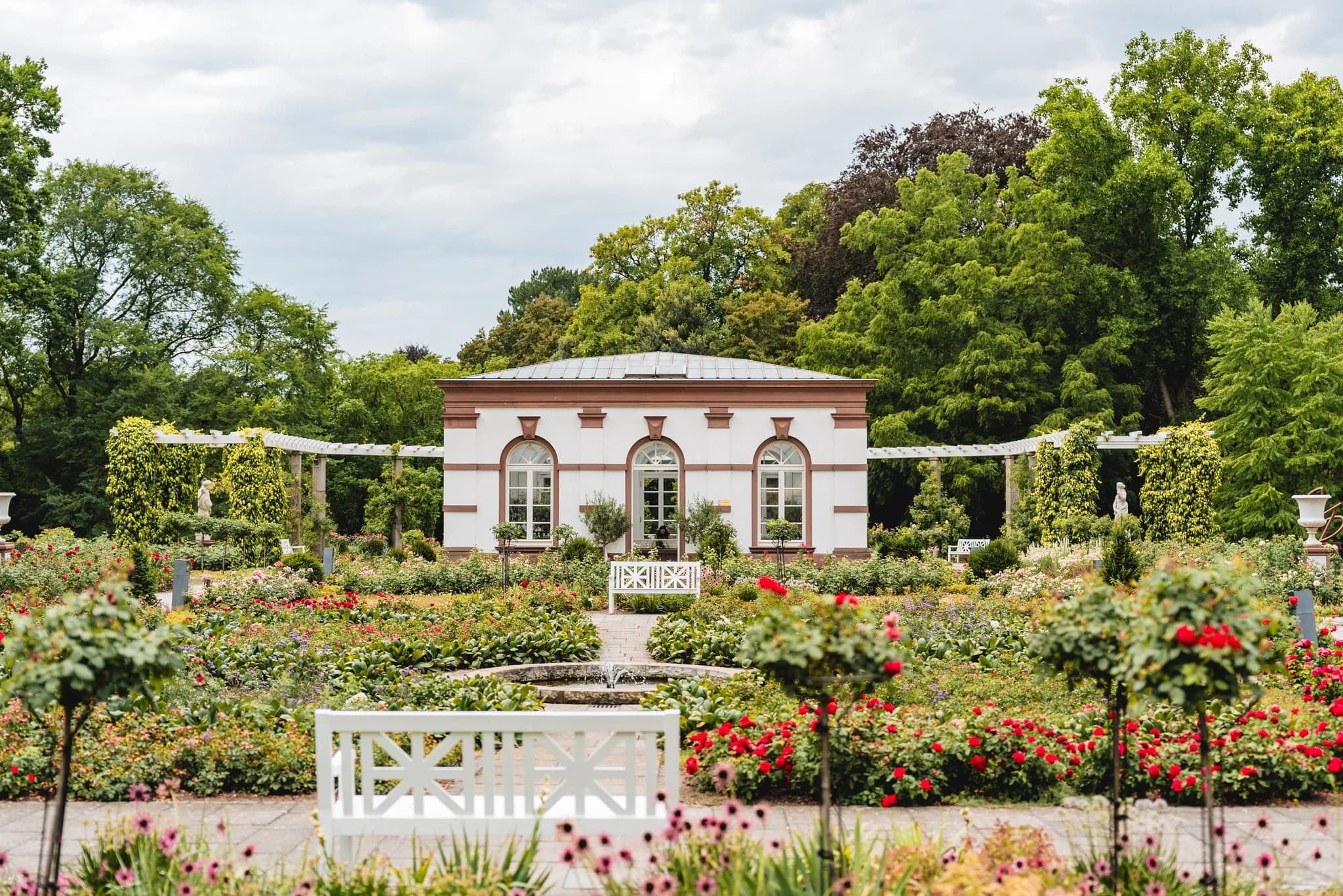 Das historische Gartenhaus im Palmengarten Frankfurt inmitten eines prachtvoll blühenden Rosengartens.
