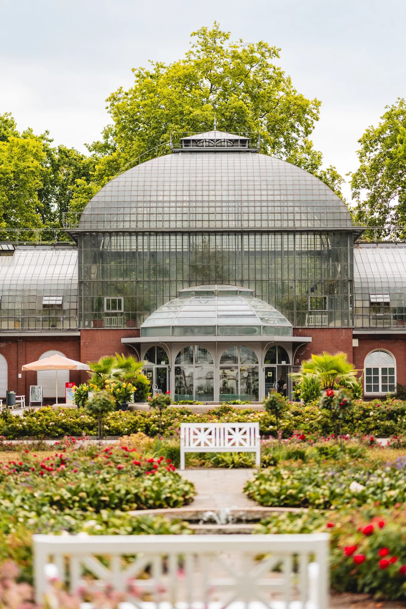 Historisches Glasgewächshaus mit weißen Bänken und Blumenbeeten im Frankfurter Palmengarten.