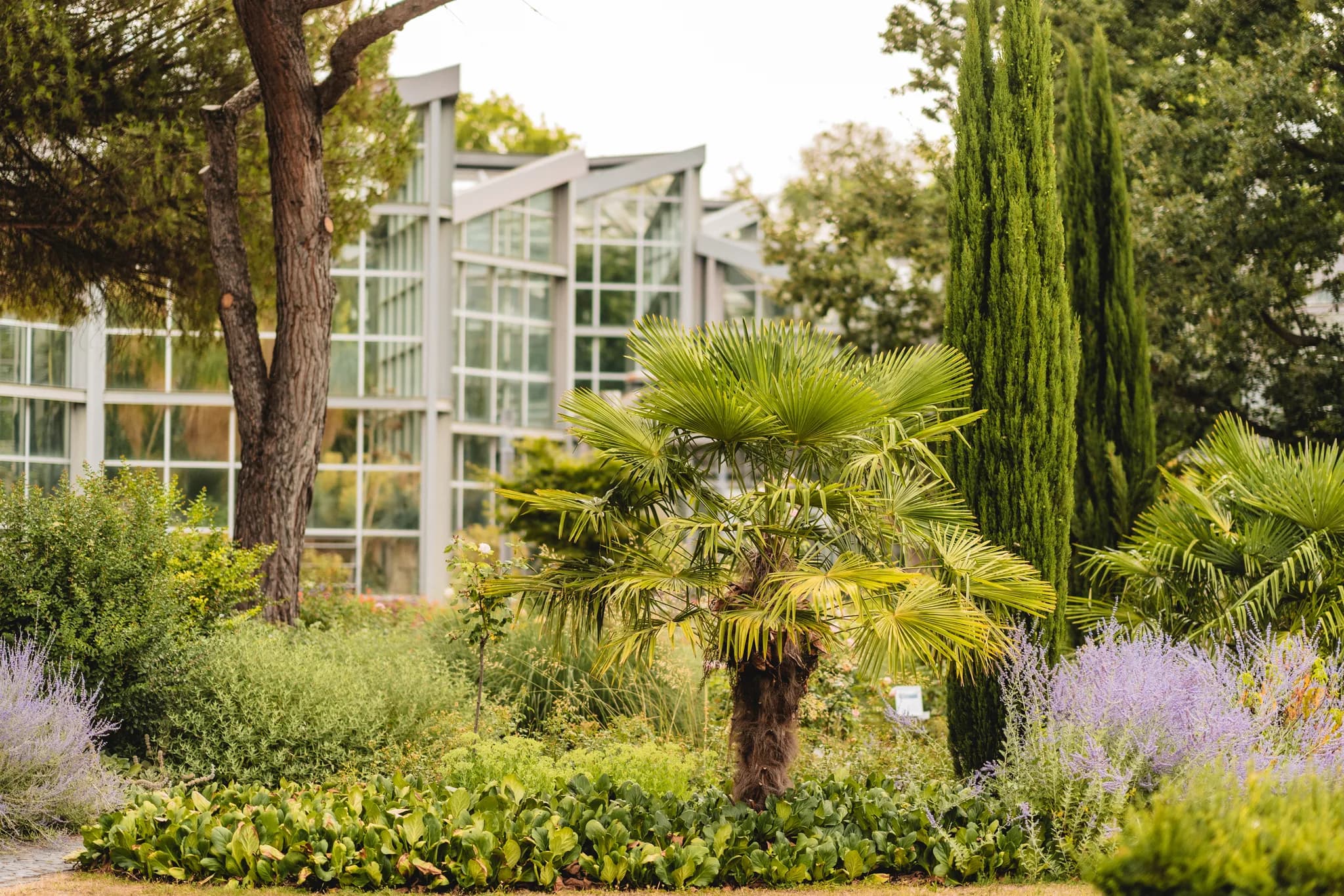 Standesamt Palmengarten Frankfurt: Heiraten im Grünen
