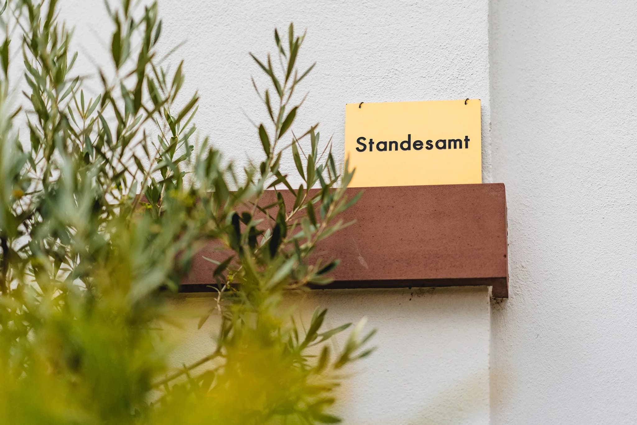 Gelbes Standesamt-Schild an einer weißen Hauswand mit einem davorstehenden Olivenbaum im Palmengarten Frankfurt.