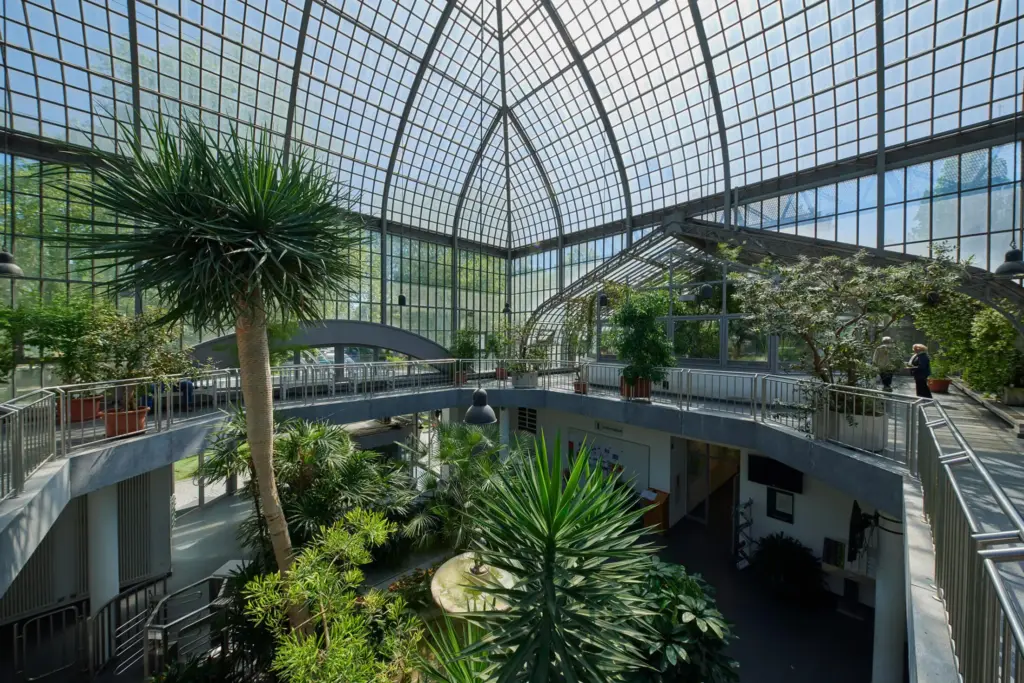 Heiraten im Plamengarten Frankfurt