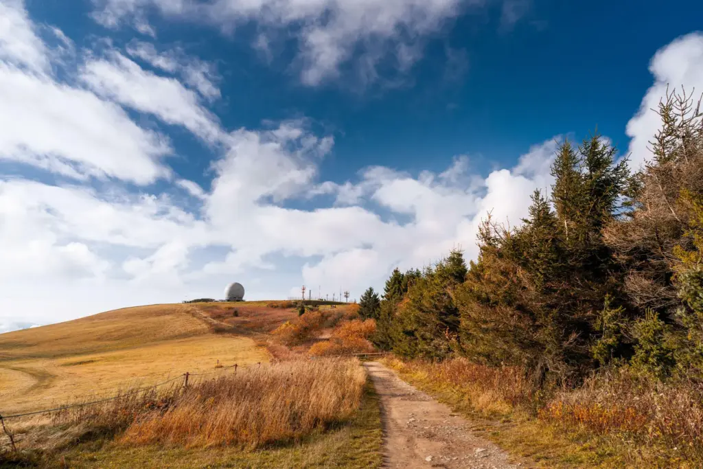 standesamt wasserkuppe radom hochzeit